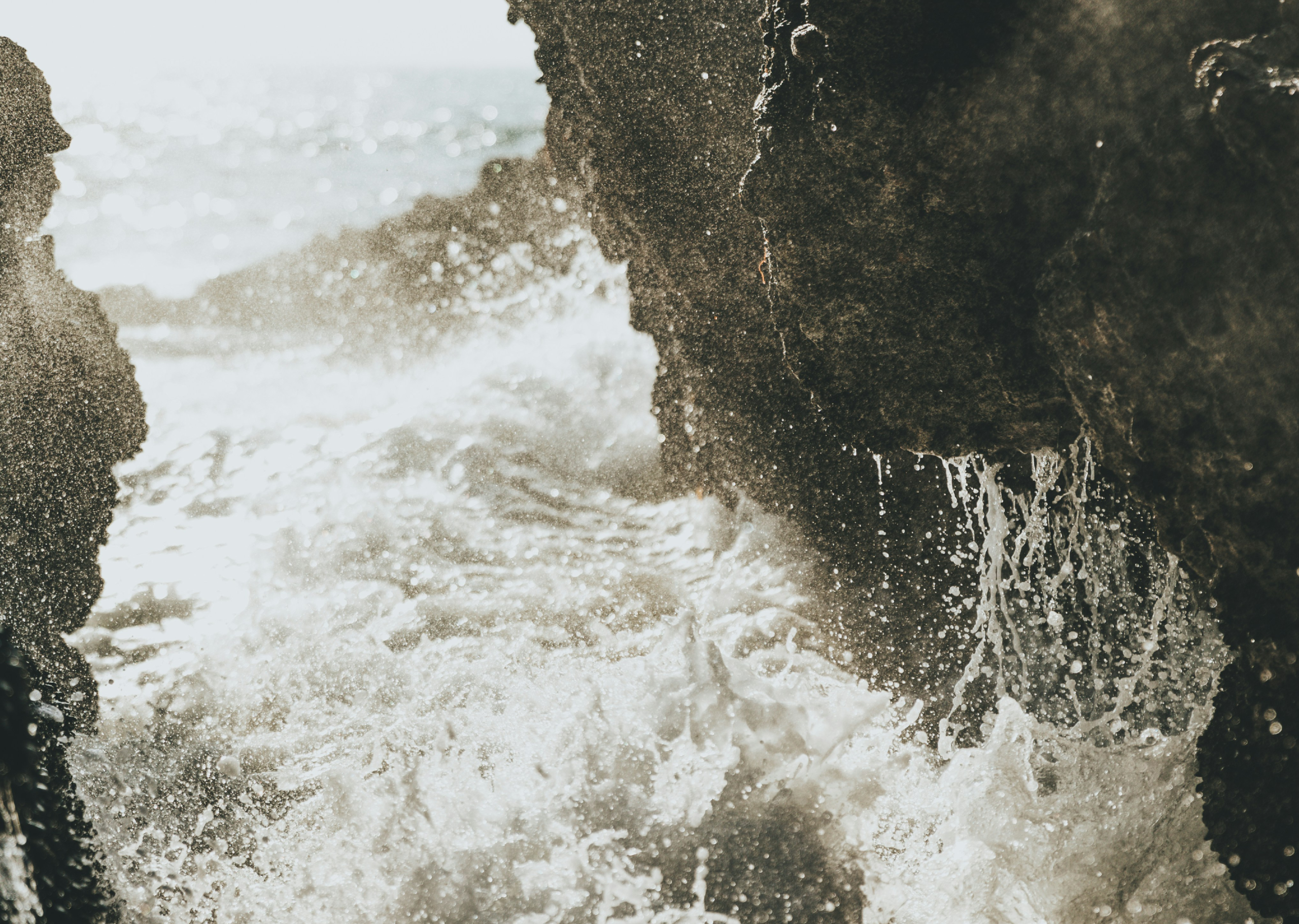 BlueActionAA endorsed as a project contributing to the UN Ocean Decade